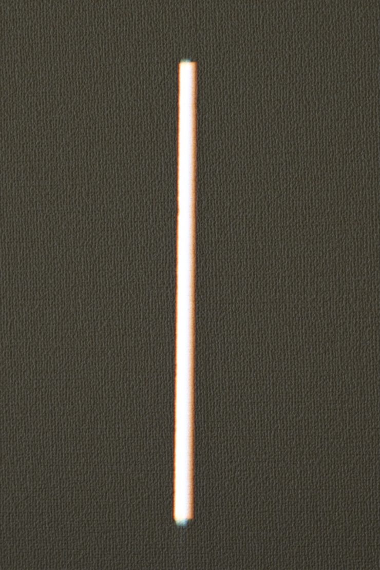DSC 5482